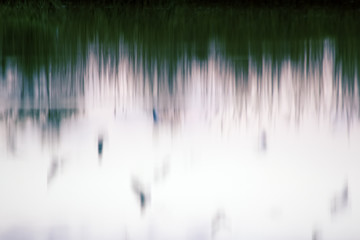 Reflection of grass in the river on a foggy gloomy day
