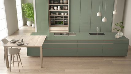 White and green minimalist kitchen in eco friendly apartment, island, table, stools and cabinet with accessories, big window, bamboo and hydroponic vases, interior design idea, top view