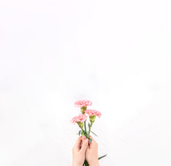 Woman giving bunch of elegance blooming baby pink color tender carnations isolated on bright marble background, mothers day decor design concept, top view, close up, copy space