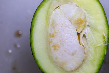 Study of flowering and fruit structures for education in laboratory.