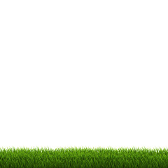 Green Grass Border