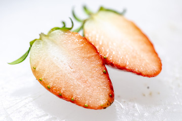 Study of flowering and fruit structures for education in laboratory.