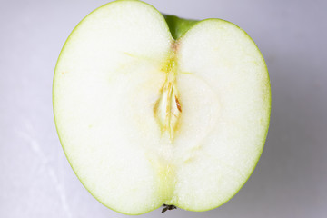 Study of flowering and fruit structures for education in laboratory.