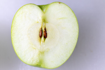 Study of flowering and fruit structures for education in laboratory.