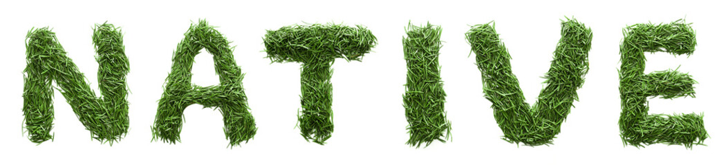 word native, made of green grass, isolated on white background