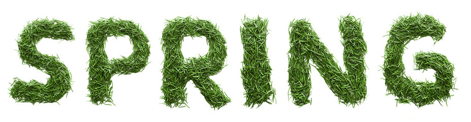 word spring, made of green grass, isolated on white background
