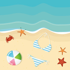 Fototapeta na wymiar bikini and ball an summer holiday beach background with starfish and crab vector illustration EPS10