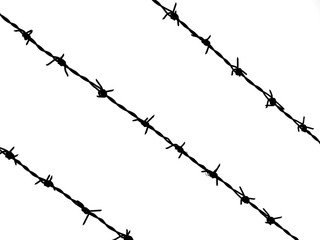 barbed wire silhouette on white background