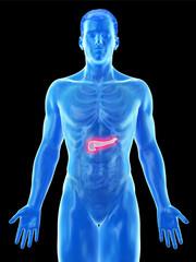 3d rendered medically accurate illustration of a mans pancreas