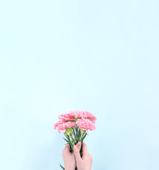 Woman giving bunch of elegance blooming baby pink color tender carnations isolated on pale blue background, mothers day decor design concept, top view, close up, copy space