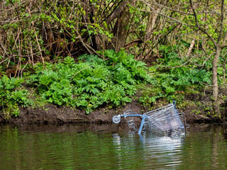 Verchromter Einkaufswagen am Ufer eeines Sees ins Wasser geschmissen.
