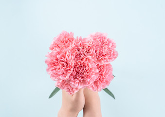 Woman giving bunch of elegance blooming baby pink color tender carnations isolated on pale blue...