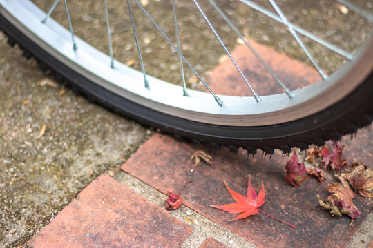 自転車と紅葉　秋イメージ