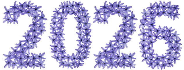 Inscription 2026, from natural flowers of hyacinth, isolated on white background
