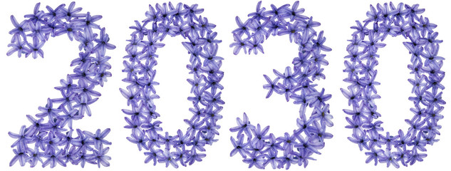 Inscription 2030, from natural flowers of hyacinth, isolated on white background