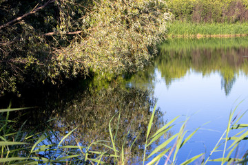  Reflection on the water surface of a serene river with paths of light. Glare.