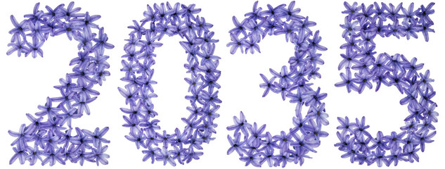Inscription 2035, from natural flowers of hyacinth, isolated on white background