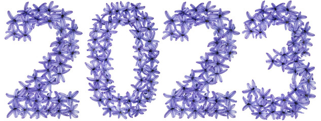 Inscription 2023, from natural flowers of hyacinth, isolated on white background