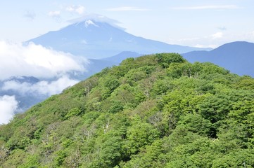 夏の甲相国境尾根と富士山