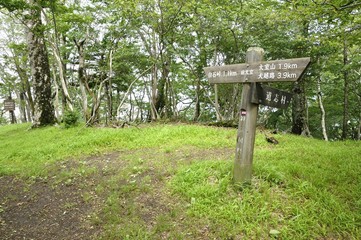 西丹沢 前大室の山頂