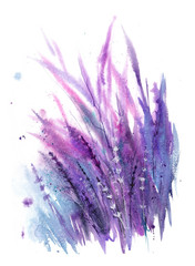 Lavender wind. Watercolor illustration with purple, lilac, dark and white sprigs of lavender.