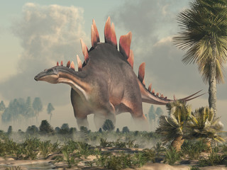 Stegosaurus, was a thyreophoran dinosaur. An herbivore, it is one of the best known dinosaurs of the Jurassic period. Here, a grey and brown one is standing in a Jurassic era wetland. 3D Rendering.  © Daniel Eskridge