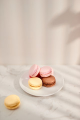 Hortensia bouquet with French macarons in sunlight. Female and lifestyle business and work from home concept.