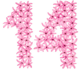 Obraz premium Numeral 14, fourteen, from natural flowers of hyacinth, isolated on white background