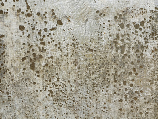dirty wall with mold texture
