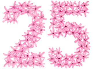Numeral 25, twenty five, from natural flowers of hyacinth, isolated on white background