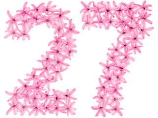 Numeral 27, twenty seven, from natural flowers of hyacinth, isolated on white background