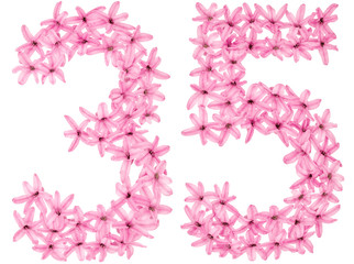 Numeral 35, thirty five, from natural flowers of hyacinth, isolated on white background