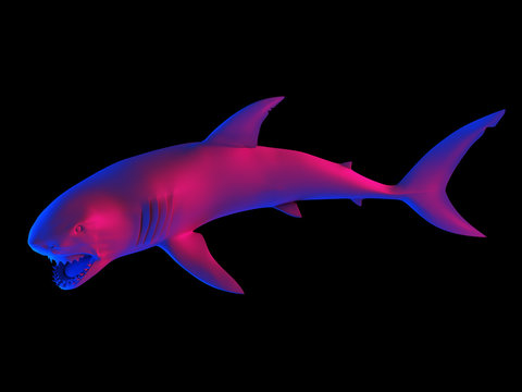 3d rendered abstract rendering of a shark