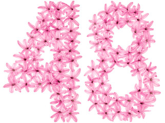 Numeral 48, forty eight, from natural flowers of hyacinth, isolated on white background