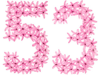 Numeral 53, fifty three, from natural flowers of hyacinth, isolated on white background