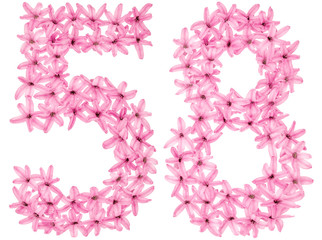 Numeral 58, fifty eight, from natural flowers of hyacinth, isolated on white background