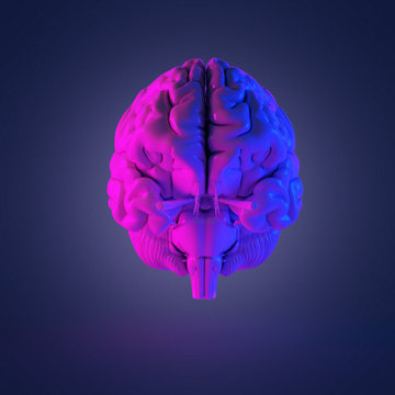 3d rendered abstract rendering of a brain