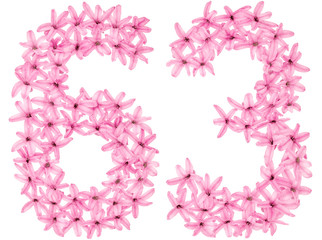 Numeral 63, sixty three, from natural flowers of hyacinth, isolated on white background