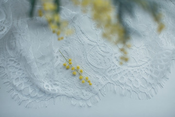 branch of mimosa on lace tablecloth