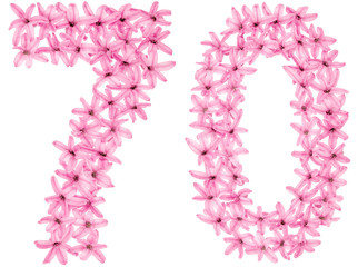 Numeral 70, seventy, from natural flowers of hyacinth, isolated on white background