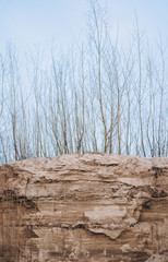 Layers of clay and sand underground. The roots of the trees are underground. Soil with clay and sand. Vertical photo.
