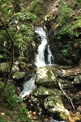 Fototapeta na wymiar 滝子山 夏の三丈の滝
