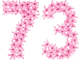 Numeral 73, seventy three, from natural flowers of hyacinth, isolated on white background