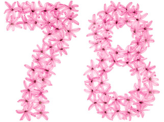 Numeral 78, seventy eight, from natural flowers of hyacinth, isolated on white background