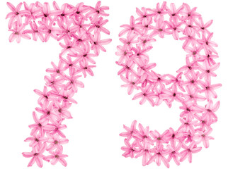 Numeral 79, seventy nine, from natural flowers of hyacinth, isolated on white background