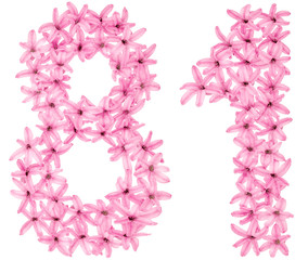 Fototapeta na wymiar Numeral 81, eighty one, from natural flowers of hyacinth, isolated on white background