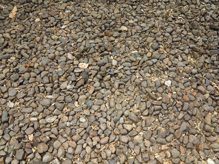 stone on ground in garden