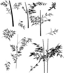 black bamboo small and large branches set illustration
