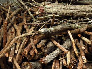 Pile of tree branches composition