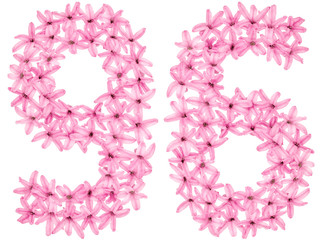 Numeral 96, ninety six, from natural flowers of hyacinth, isolated on white background